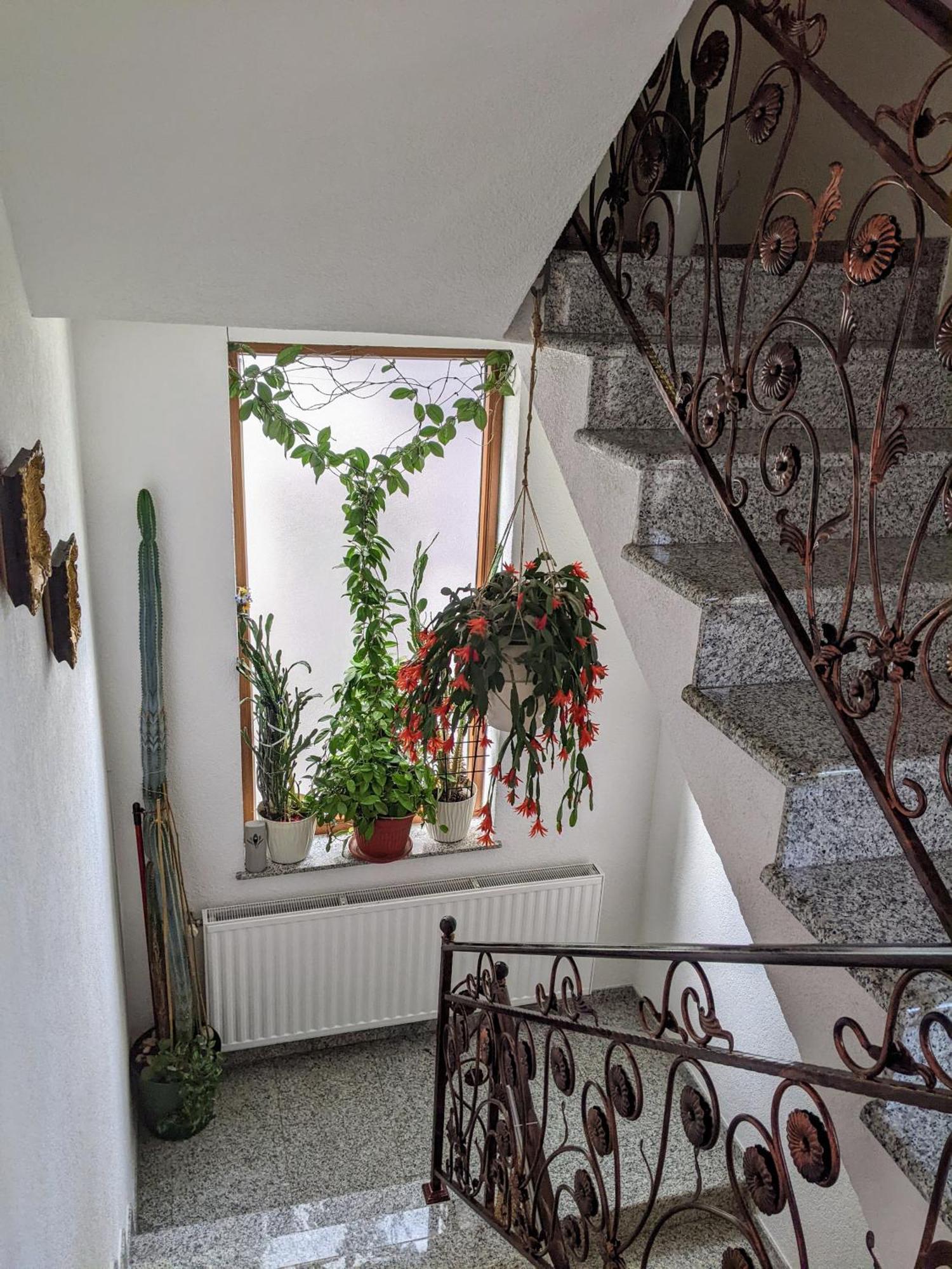 Apartmani Hrastik Bihać Exteriér fotografie