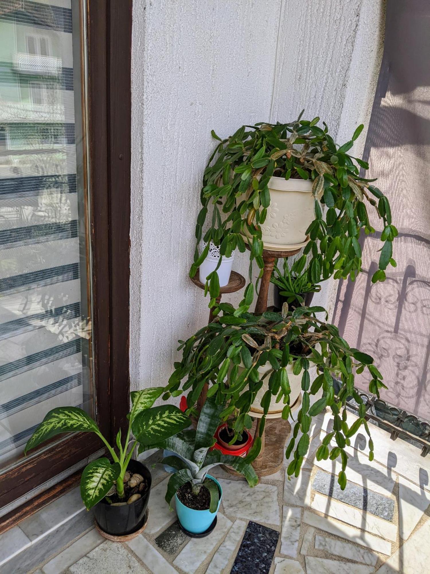 Apartmani Hrastik Bihać Pokoj fotografie