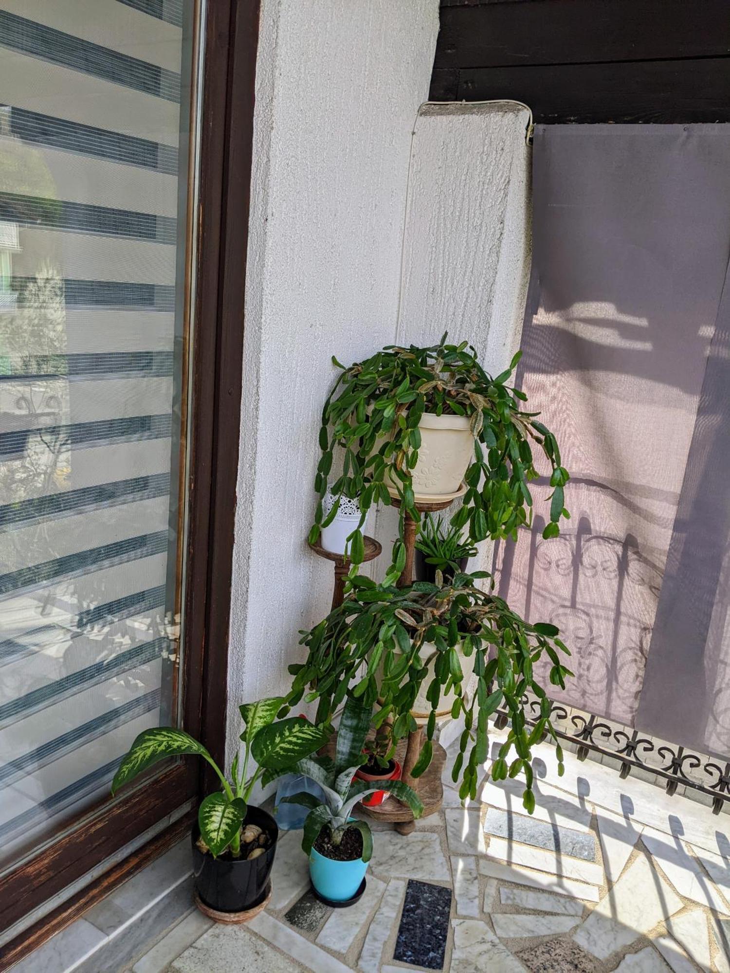 Apartmani Hrastik Bihać Pokoj fotografie